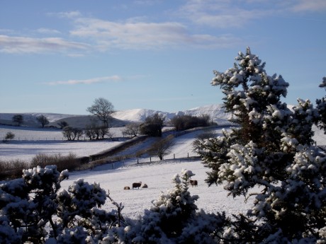 A bright and snowy morning