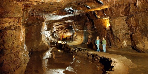 Dan Yr Ogof Showcaves